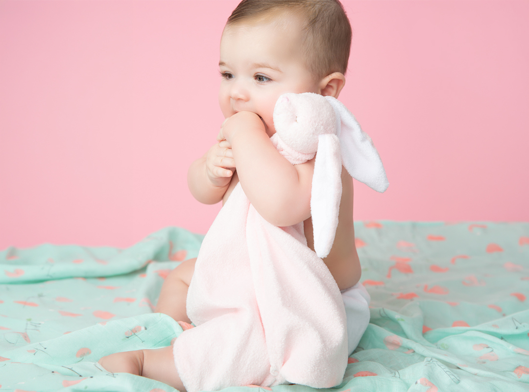 ＼欠品の動物が再入荷！／ ベビー ブランキー