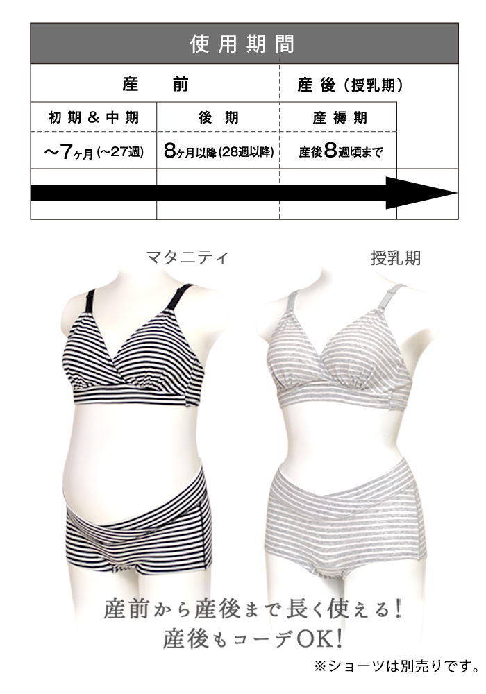 代替テキスト